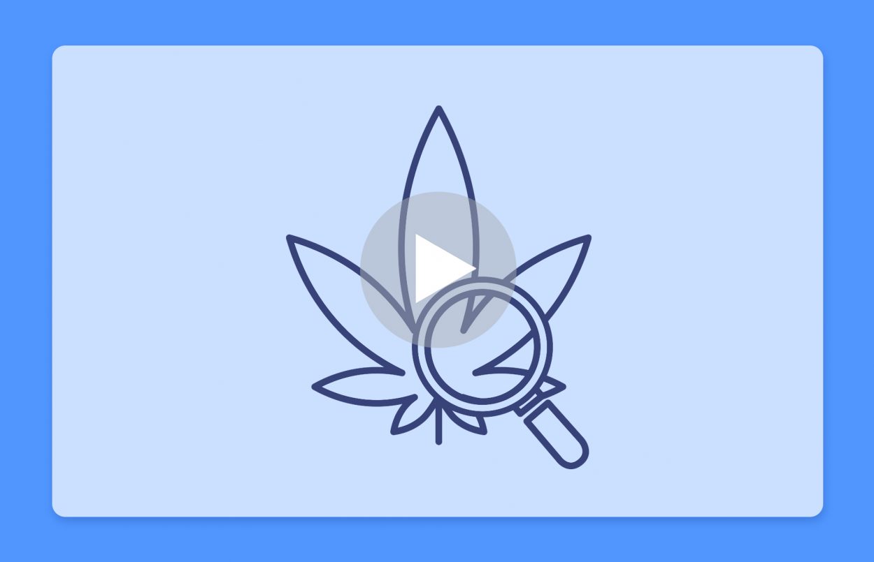 סרטון פתיחת שקית - קהיר