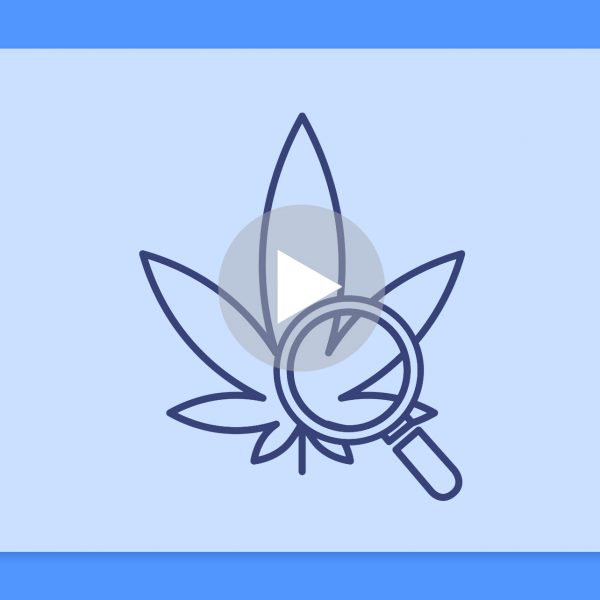 סרטון פתיחת שקית - קהיר