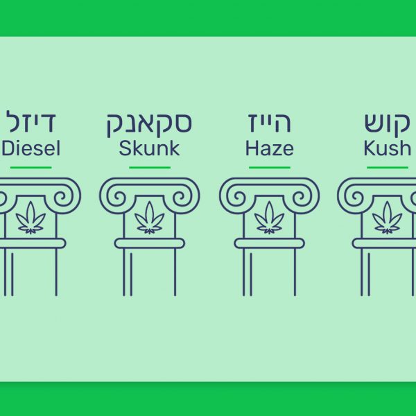 קוש,הייז,סקאנק ודיזל - הסיפורים מאחורי הזנים