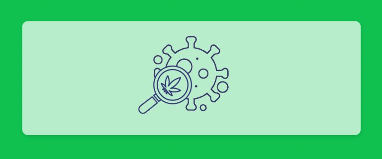 קנאביס רפואי ומחלות אוטו-אימוניות