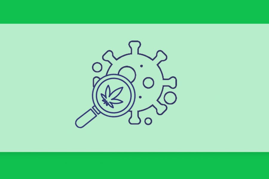 קנאביס רפואי ומחלות אוטו-אימוניות