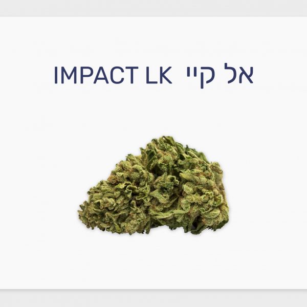 סקירת זן – אל קיי T20/C4 סאטיבה