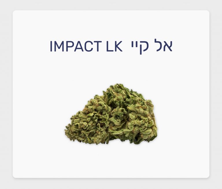 סקירת זן – אל קיי T20/C4 סאטיבה