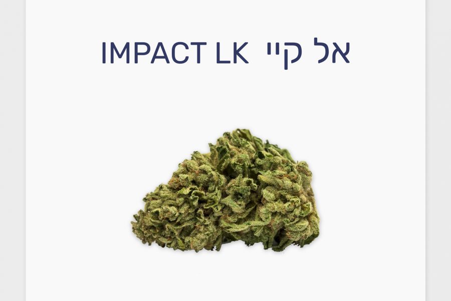 סקירת זן – אל קיי T20/C4 סאטיבה