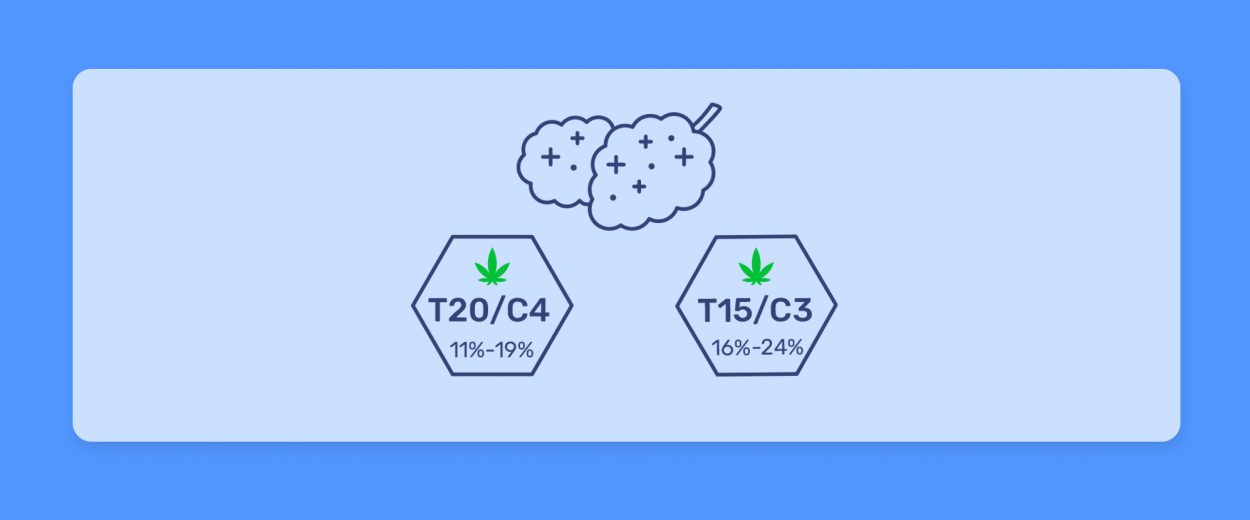 זנים עם אחוזי אצוות זהות אך בקטגוריות שונות כרגע בבתי המרקחת השונים