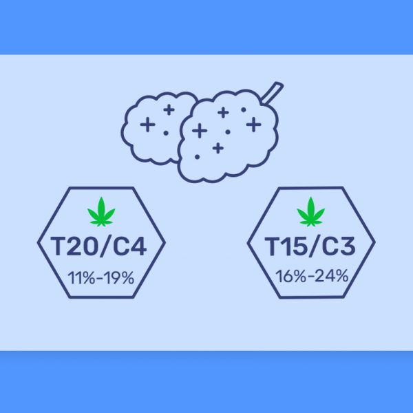 זנים עם אחוזי אצוות זהות אך בקטגוריות שונות כרגע בבתי המרקחת השונים