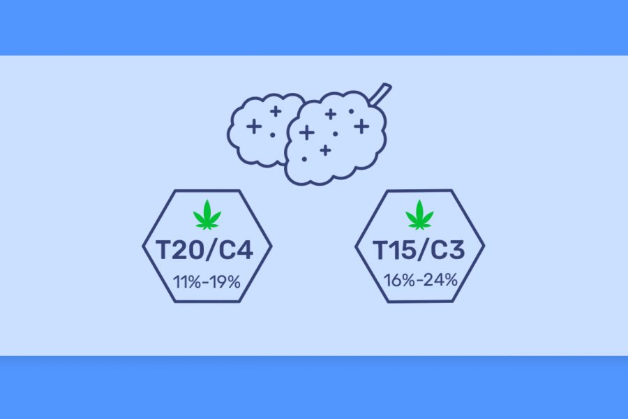 זנים עם אחוזי אצוות זהות אך בקטגוריות שונות כרגע בבתי המרקחת השונים