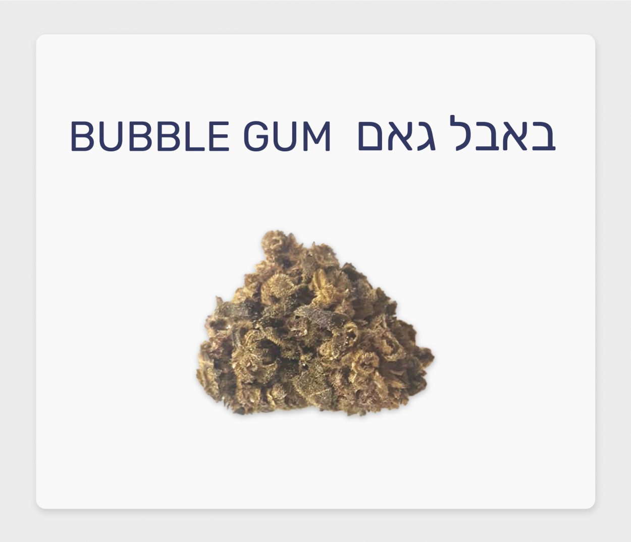 סקירת זן – תפרחת באבל גאם T20/C4 אינדיקה