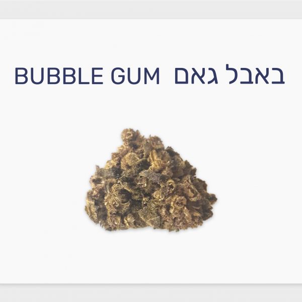 סקירת זן – תפרחת באבל גאם T20/C4 אינדיקה