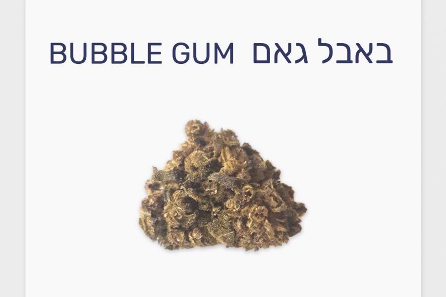 סקירת זן – תפרחת באבל גאם T20/C4 אינדיקה