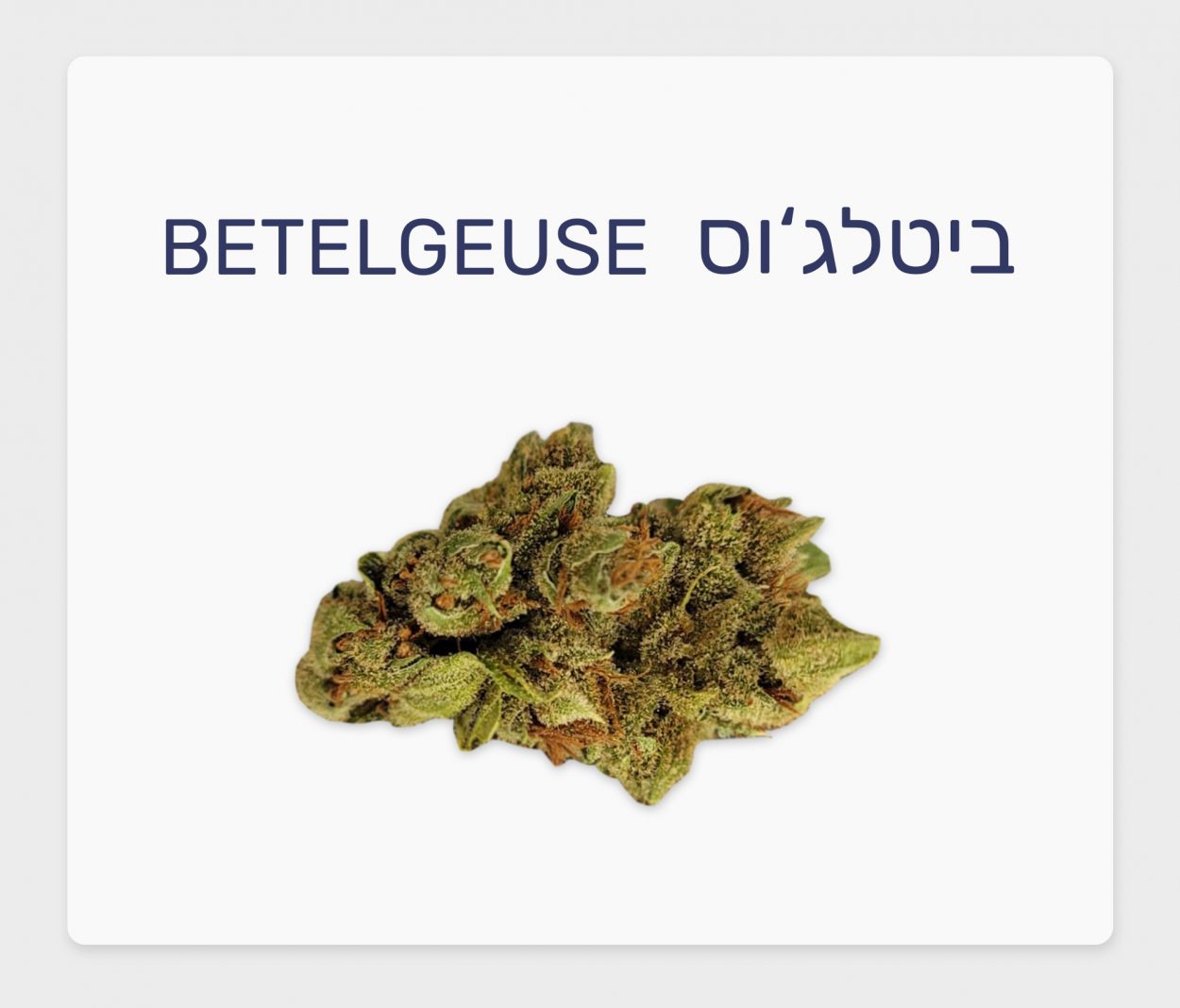 סקירת זן – ביטלג'וס T20/C4 סאטיבה