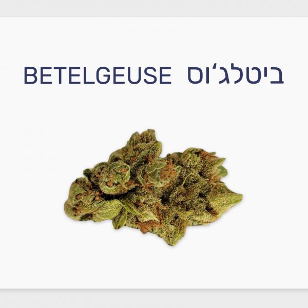 סקירת זן – ביטלג'וס T20/C4 סאטיבה