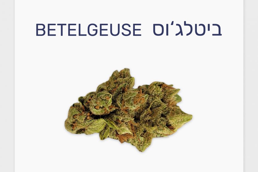 סקירת זן – ביטלג'וס T20/C4 סאטיבה