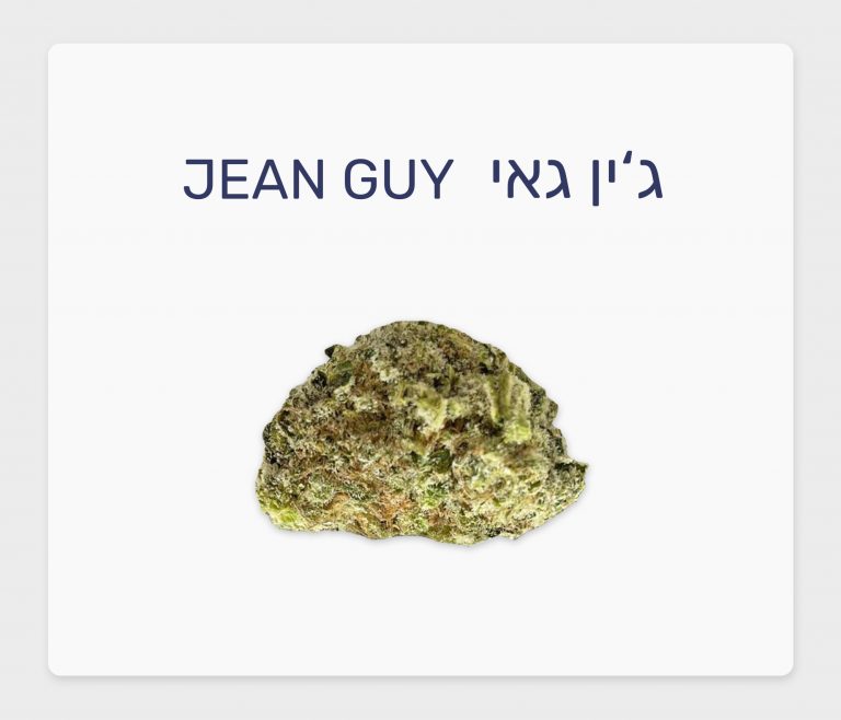 סקירת זן – ג'ין גאי T20/C4 סאטיבה