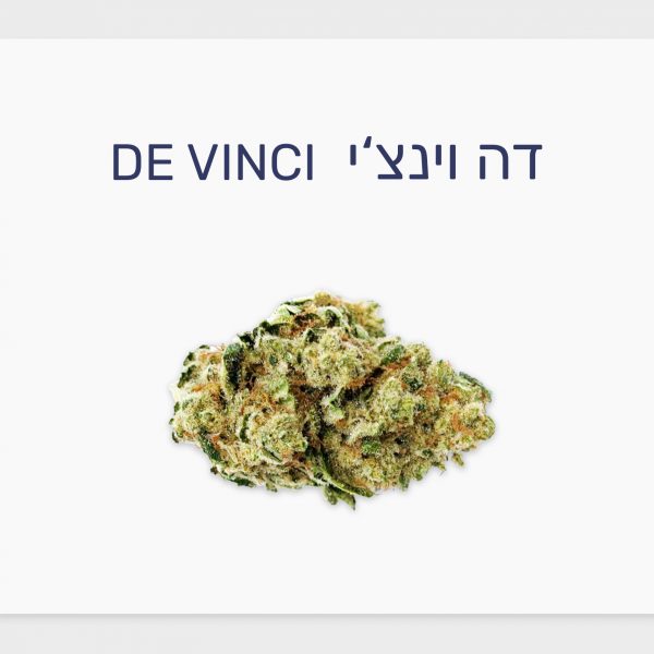 סקירת זן – דה וינצ'י T20/C4 היברידי