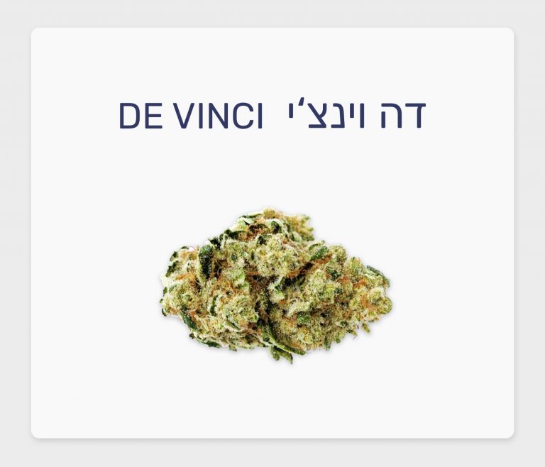 סקירת זן – דה וינצ'י T20/C4 היברידי