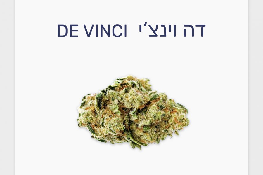 סקירת זן – דה וינצ'י T20/C4 היברידי