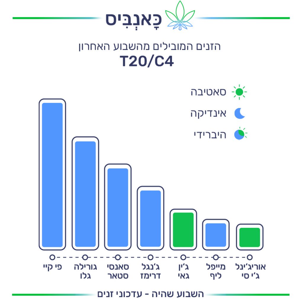 זנים T זנים T