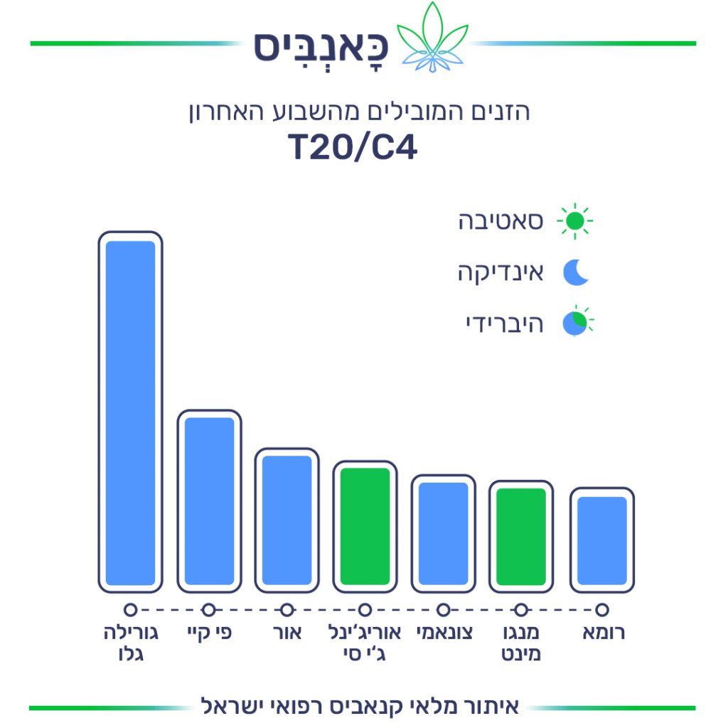 זנים T זנים T