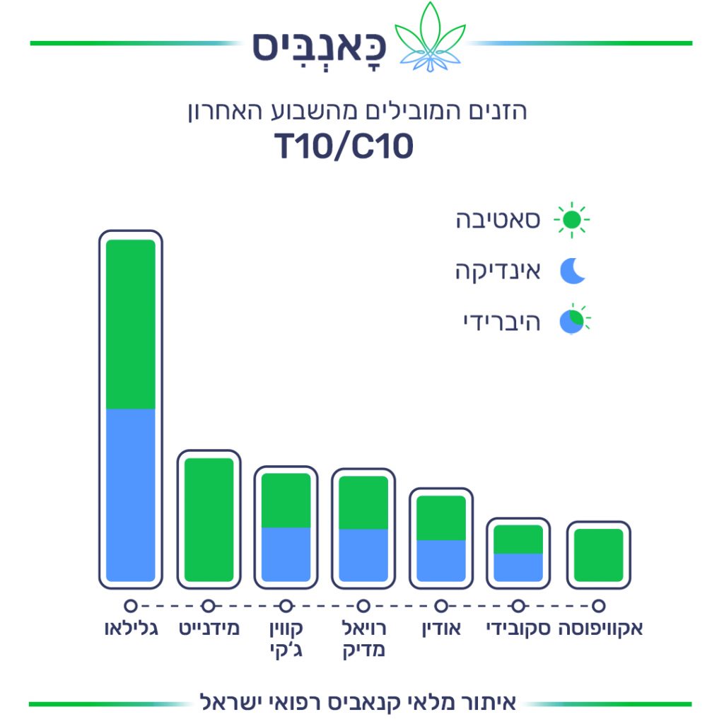 זנים T זנים T