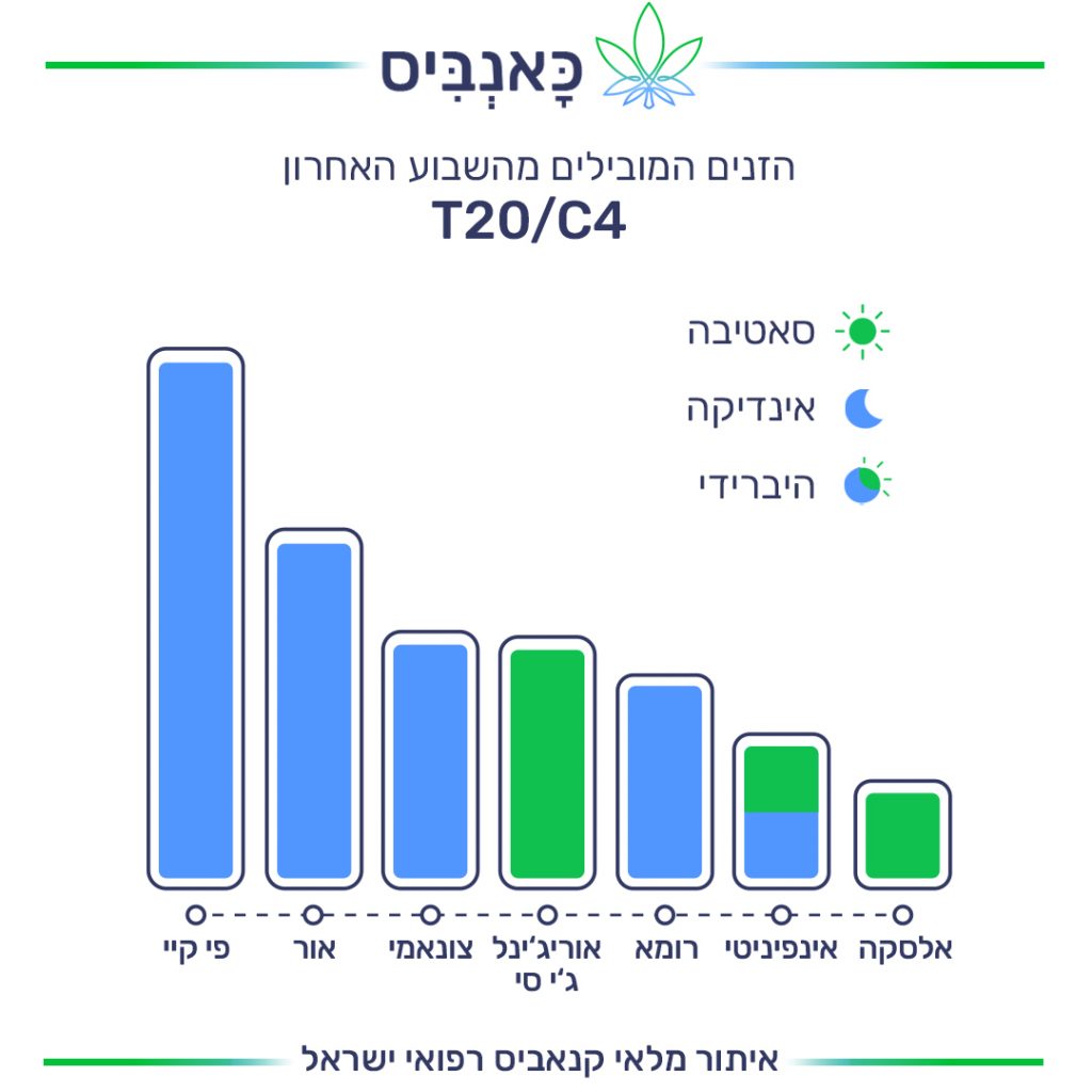 זנים T זנים T