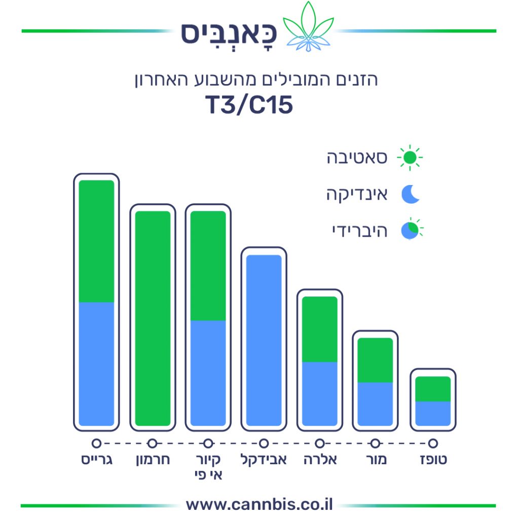 זנים T זנים T