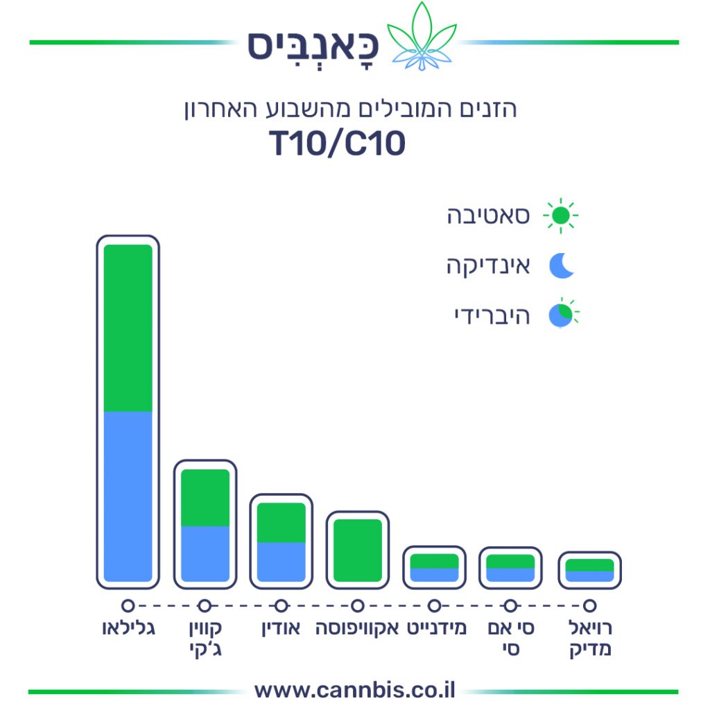 זנים T זנים T