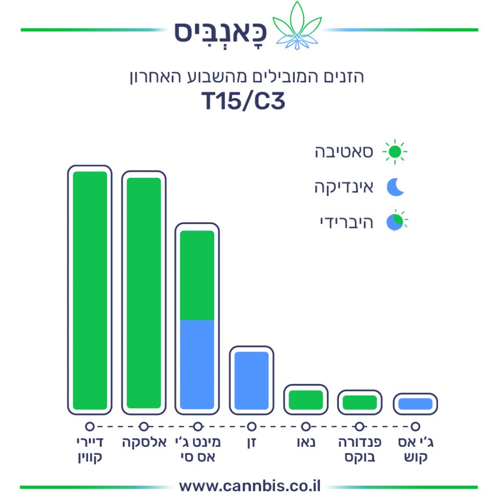זנים T זנים T