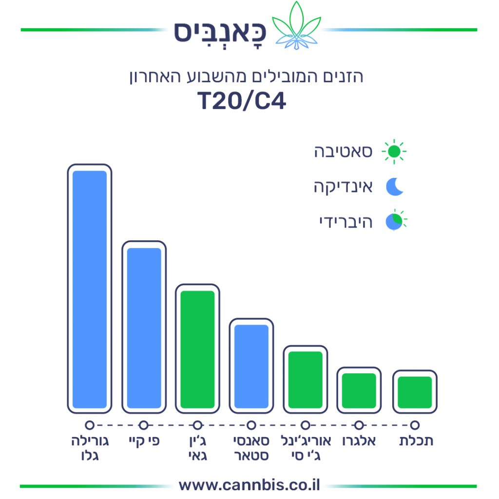 זנים T זנים T