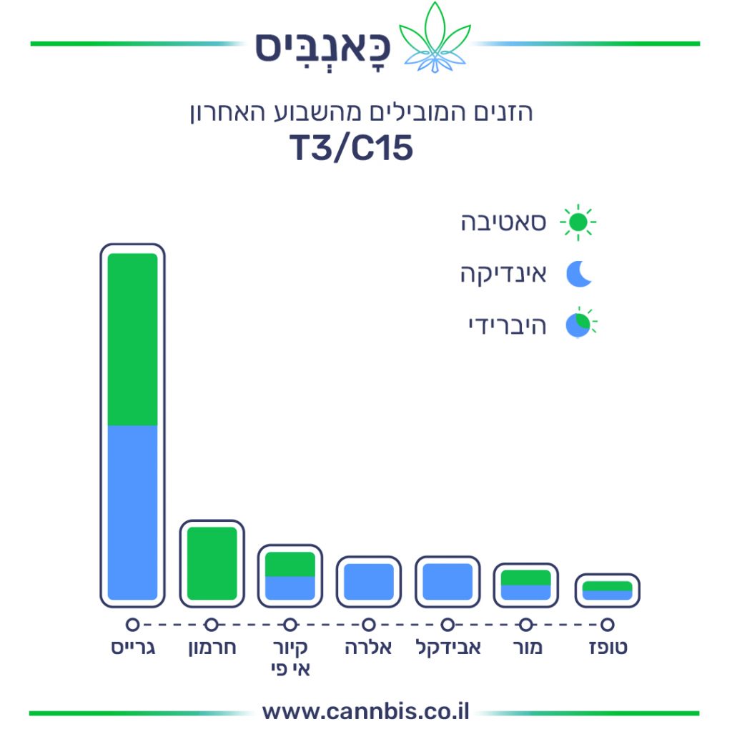 זנים T זנים T