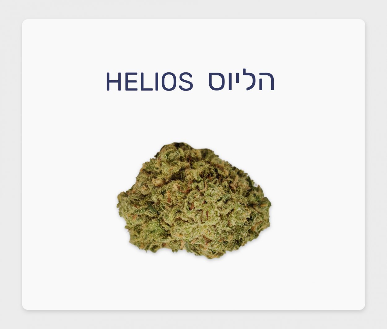 סקירת זן – הליוס T20/C4 סאטיבה