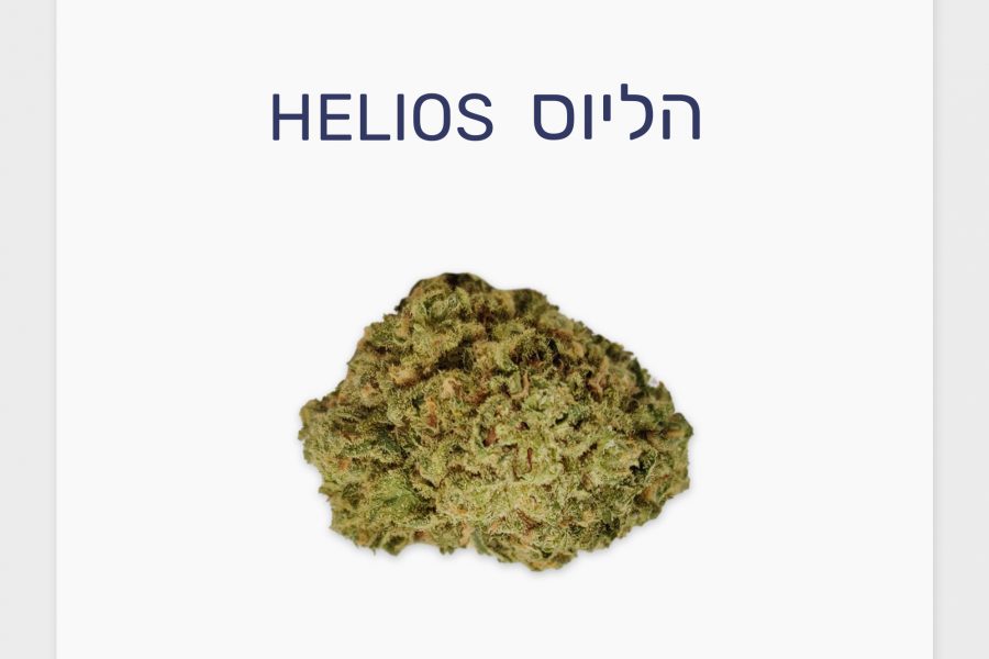 סקירת זן – הליוס T20/C4 סאטיבה