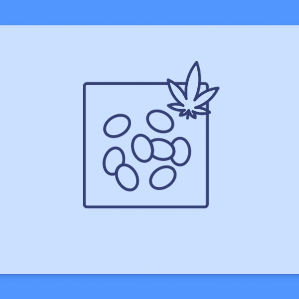 מהו קנבוס/המפ?