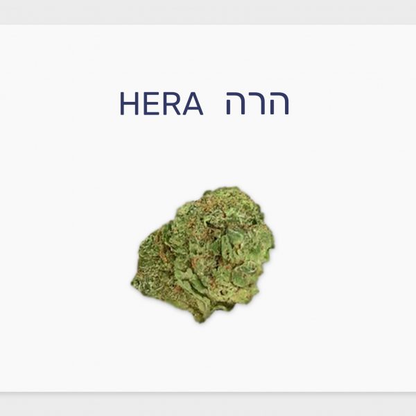 סקירת זן – הרה T20/C4 אינדיקה