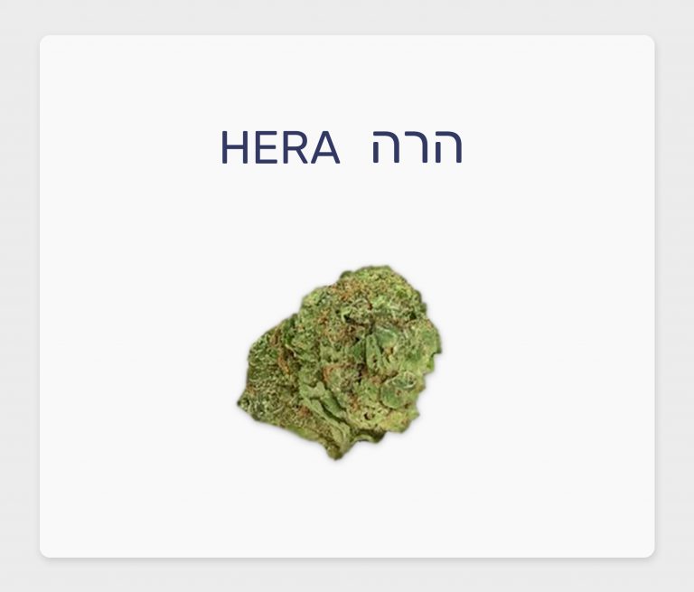 סקירת זן – הרה T20/C4 אינדיקה