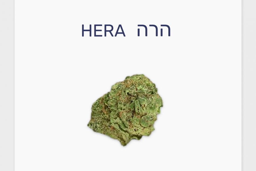 סקירת זן – הרה T20/C4 אינדיקה