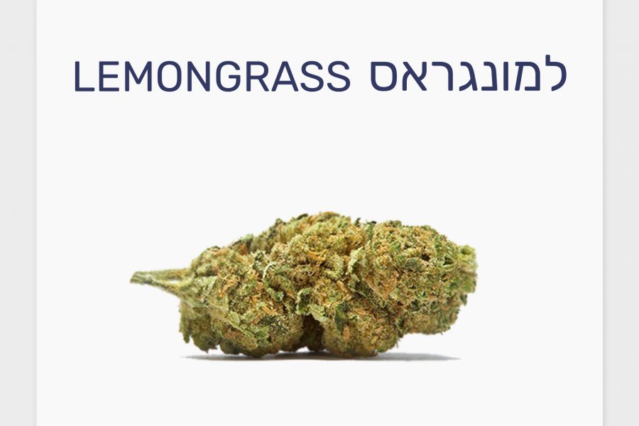 סקירת זן – למונגראס T20/C4 היברידי