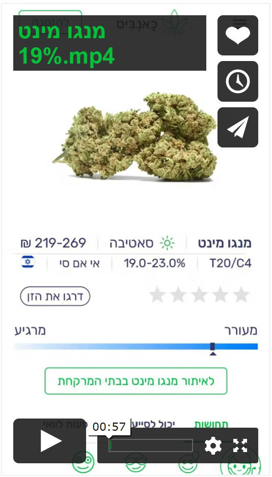 וימאו מנגו מינט