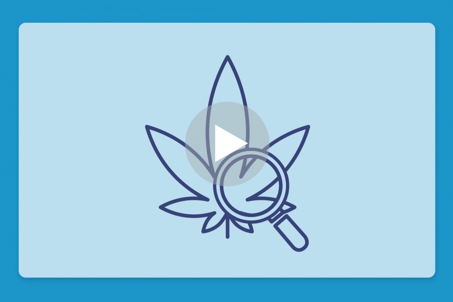 סרטון פתיחת שקית - באבל גאם