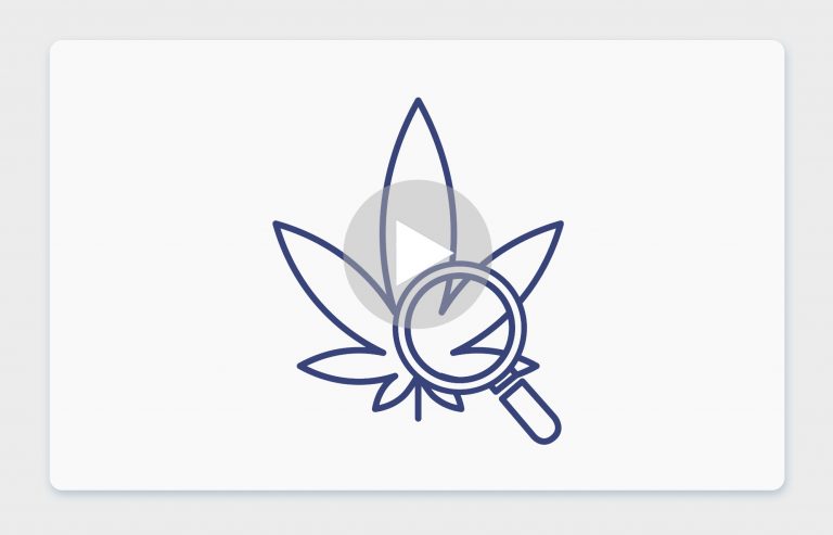 סרטון פתיחת שקית - למונגראס