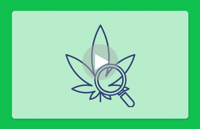 סרטון פתיחת שקית - מנגו מינט