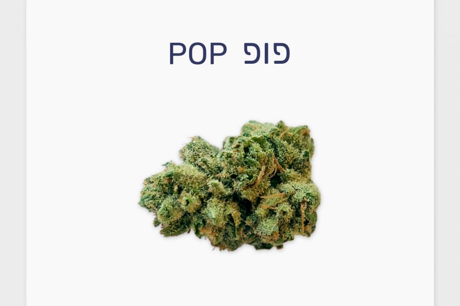 סקירת זן – פופ T10/C2 היברידי