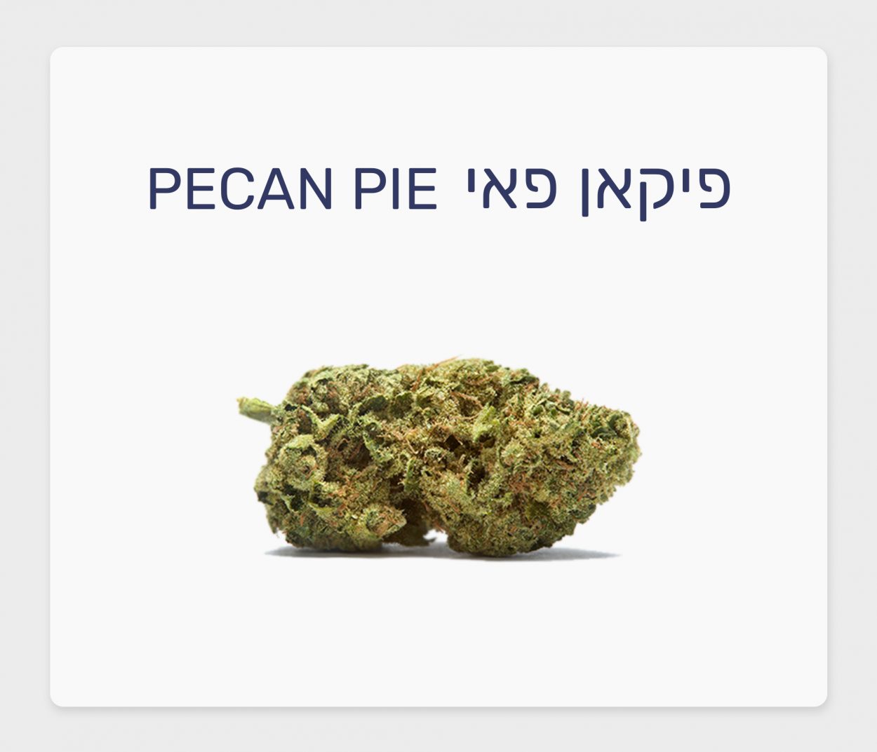 סקירת זן – תפרחת פיקאן פאי T20/C4 אינדיקה