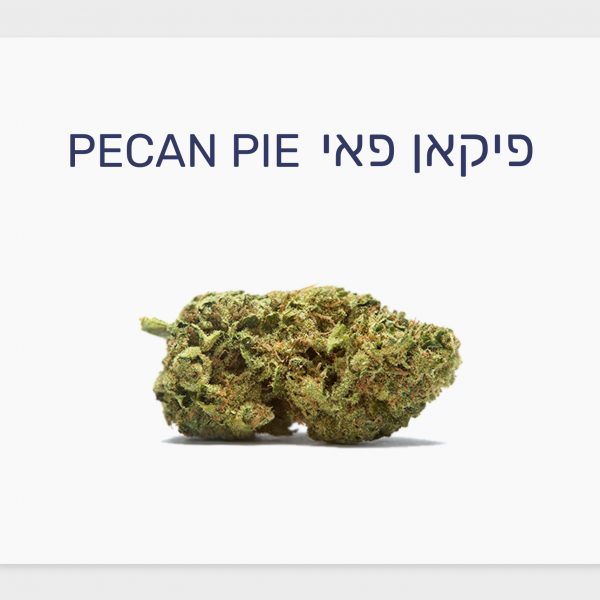 סקירת זן – תפרחת פיקאן פאי T20/C4 אינדיקה