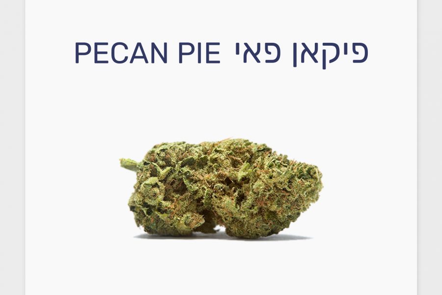 סקירת זן – תפרחת פיקאן פאי T20/C4 אינדיקה