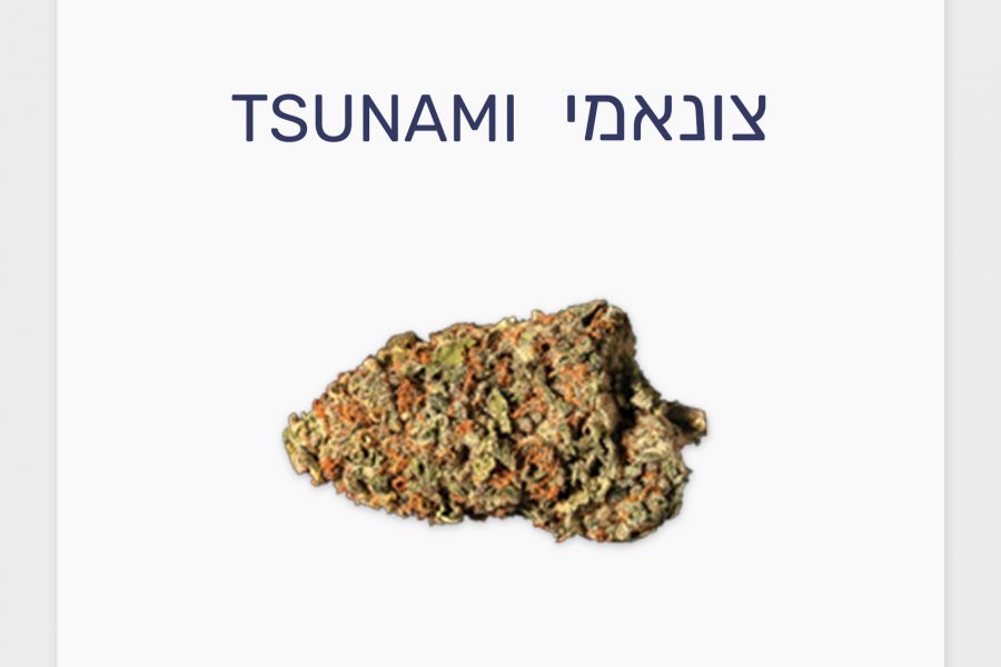 סקירת זן – תפרחת צונאמי T20/C4 אינדיקה