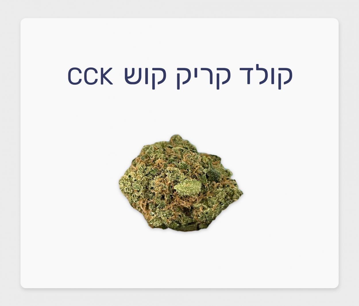 סקירת זן – תפרחת קולד קריק קוש T20/C4 אינדיקה