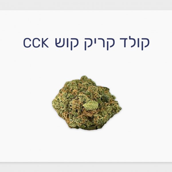סקירת זן – תפרחת קולד קריק קוש T20/C4 אינדיקה