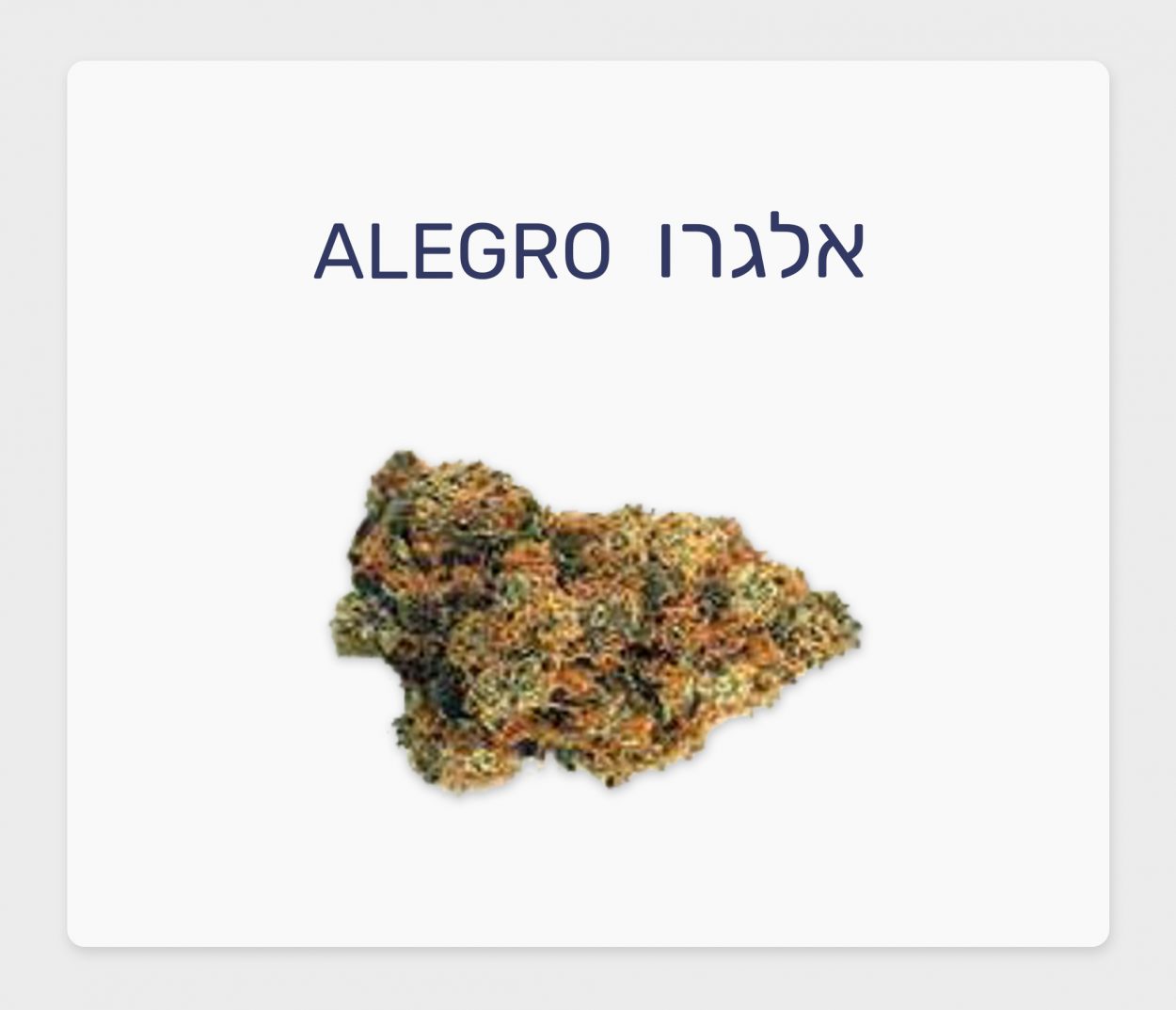 סקירת זן – אלגרו T20/C4 סאטיבה