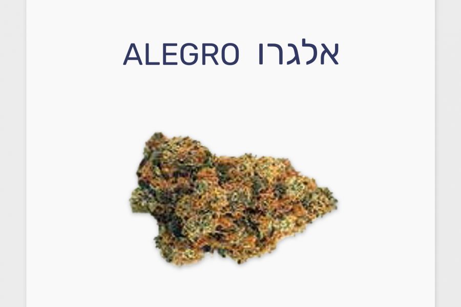 סקירת זן – אלגרו T20/C4 סאטיבה